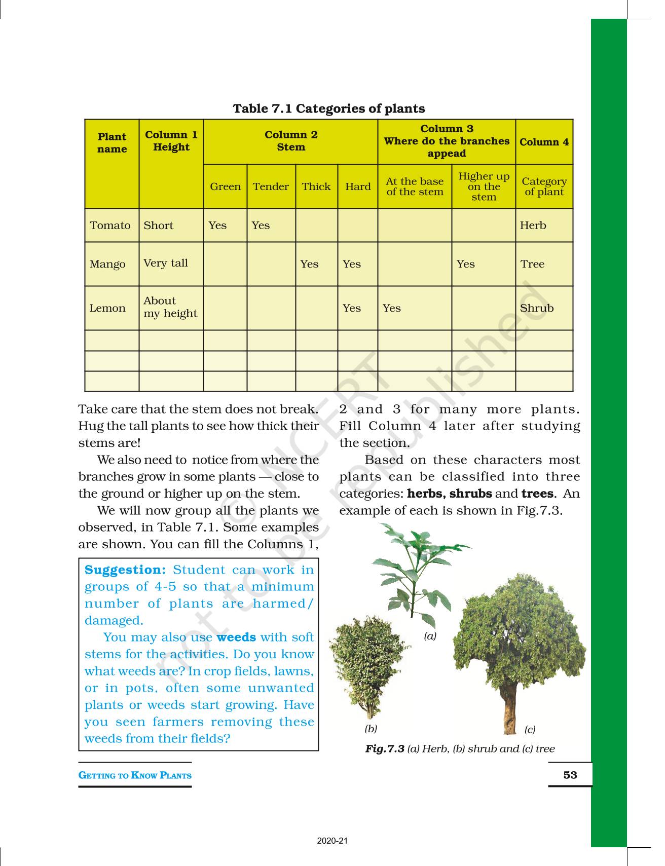 Getting To Know Plants NCERT Book Of Class 6 Science